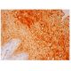 α2ML1 Antibody (G-8) - Immunohistochemistry - Image 305559 