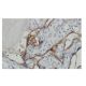 ALPPL2 Antibody (9-YD35) - Immunohistochemistry - Image 64838 
