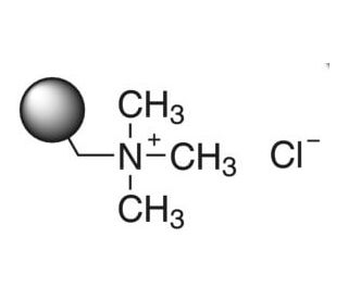 Amberlite&reg; IRA-900 (CAS 9050-97-9) - chemical structure image