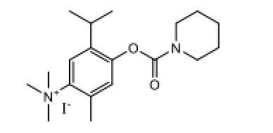 AMO 1618 | SCBT - Santa Cruz Biotechnology