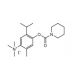 AMO 1618 - chemical structure image