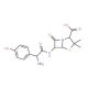 Amoxicillin trihydrate (CAS 61336-70-7) - chemical structure image