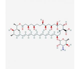 Amphotericin X1 - chemical structure image