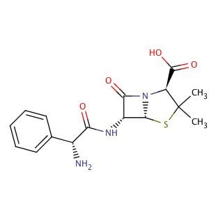 amoxicillin compra