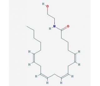 Anandamide (CAS 94421-68-8) - chemical structure image