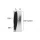 anti-Cyanine Antibody (C-2) - Western Blotting - Image 127278
