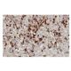 apoA-II Antibody (ZZ6) - Immunohistochemistry - Image 36361