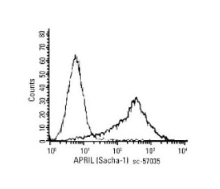 APRIL Antibody (Sacha-1) - Flow Cytometry - Image 67456