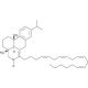 Arachidonic Acid Leelamide - chemical structure image