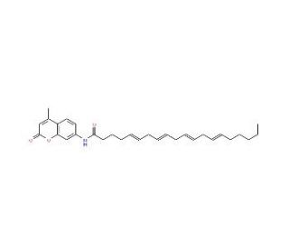 Arachidonoyl-AMC - chemical structure image