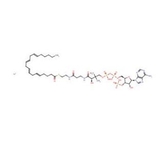 Arachidonoyl coenzyme A lithium salt (CAS 188174-63-2) - chemical structure image