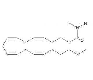 Arachidonoyl-N-methyl amide (CAS 156910-29-1) - chemical structure image