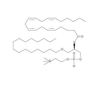 Arachidonoyl Thio-PC (CAS 146797-82-2) - chemical structure image