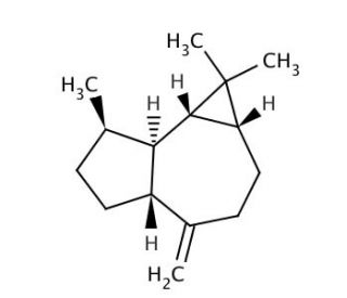 (&plus;)-Aromadendrene (CAS 489-39-4) - chemical structure image