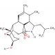 Aspergillin PZ - chemical structure image