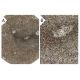 ASPP1 Antibody (LX011) - Immunohistochemistry - Image 31587