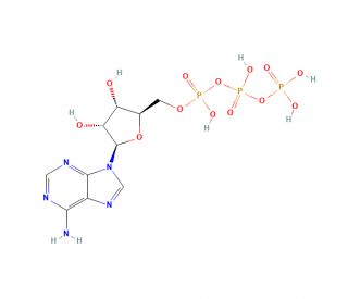 ATP (CAS 56-65-5) - chemical structure image