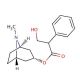 Atropine (CAS 51-55-8) - chemical structure image