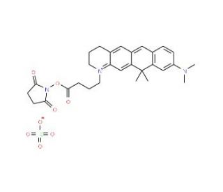 Atto 610 N-succinimidyl ester - chemical structure image