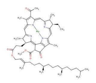 Bacteriochlorophyll from Rhodopseudomonas sphaeroides (CAS 17499-98-8) - chemical structure image
