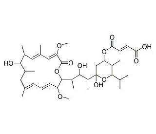 Bafilomycin C1 (CAS 88979-61-7) - chemical structure image