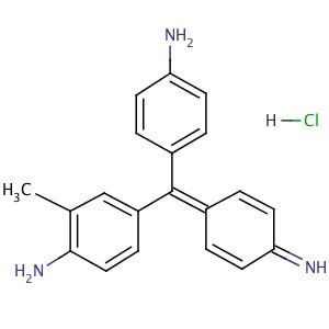 Basic Fuchsin | CAS 632-99-5 | SCBT - Santa Cruz Biotechnology