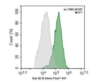 Bax抗体(B-9) | SCBT - Santa Cruz Biotechnology