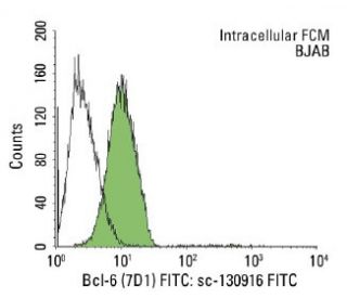 Bcl-6 Antibody (7D1) | SCBT - Santa Cruz Biotechnology