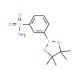 Benzenesulfonamide-3-boronic acid pinacol ester (CAS 486422-08-6) - chemical structure image