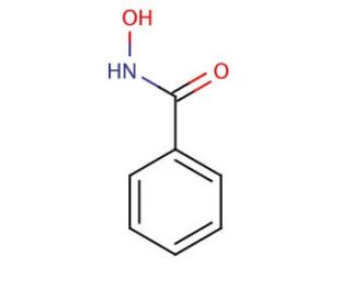 Benzohydroxamic Acid | CAS 495-18-1 | SCBT - Santa Cruz Biotechnology