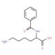 Benzoyl-L-lysine (CAS 366-74-5) - chemical structure image