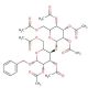 Benzyl β-D-Lactoside Heptaacetate (CAS 67310-53-6) - chemical structure image