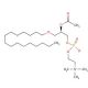 β-Acetyl-γ-O-alkyl-L-α-phosphatidylcholine (CAS 65154-06-5) - chemical structure image