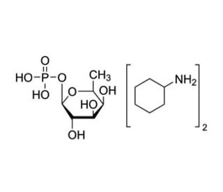 &beta;-L-Fucose 1-phosphate bis(cyclohexylammonium) salt (CAS 40591-57-9) - chemical structure image