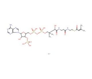 &beta;-Methylcrotonyl coenzyme A lithium salt (CAS 108347-83-7) - chemical structure image