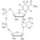 β-NADH-d4 (d4 major) Diammonium Salt - chemical structure image