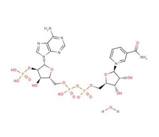 &beta;-Nicotinamide adenine dinucleotide phosphate (CAS 53-59-8) - chemical structure image
