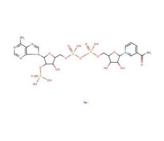 &beta;-Nicotinamide adenine dinucleotide phosphate sodium salt (CAS 698999-85-8) - chemical structure image