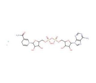 &beta;-Nicotinamide adenine dinucleotide, reduced dipotassium salt (CAS 104809-32-7) - chemical structure image