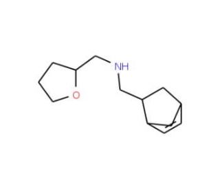 Bicyclo[2.2.1]hept-5-en-2-ylmethyl-(tetrahydro-furan-2-ylmethyl)-amine - chemical structure image