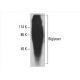 Biglycan Antibody (910E2) - Western Blotting - Image 393588 