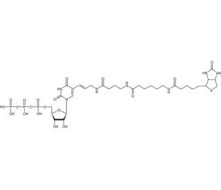 Bio-16-UTP - chemical structure image