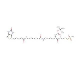 Bio-Lys(bioinamidocaproyl)ethyl-MTS, Biotin-cap-&alpha;-boclys-ethane-MTS - chemical structure image