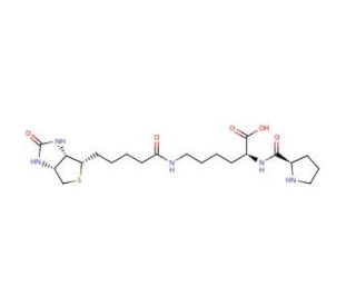 Biocytin-L-proline - chemical structure image