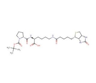 Biocytin-N-(t-boc)-L-proline - chemical structure image