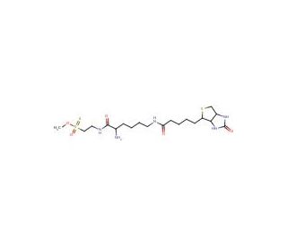 Biocytinamidoethyl Methanethiosulfonate, Trifluroacetic Acid Salt (CAS 353754-92-4) - chemical structure image