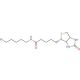 Biotin 5-Bromopentylamide (CAS 1217605-72-5) - chemical structure image