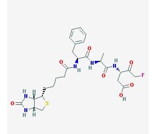 Biotin-FA-FMK - chemical structure image