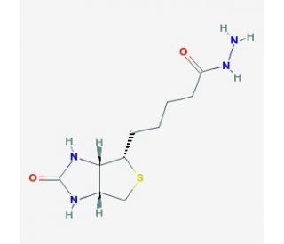 (&plus;)-Biotin hydrazide (CAS 66640-86-6) - chemical structure image