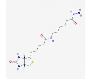 Biotin LC hydrazide (CAS 109276-34-8) - chemical structure image